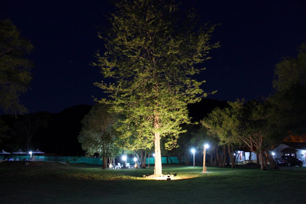 Parque al anochecer Cabañas Brisas de Belgrano Villa General Belgrano